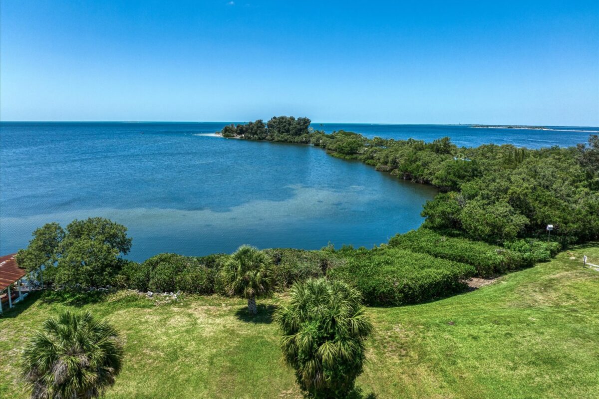 Close-up view of waterfront greenery and island – A scenic view featuring palm trees and open grass leading to the shoreline with a lush island in the distance.